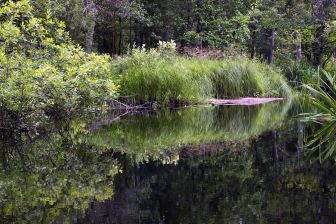 на фотографиях все очень красиво