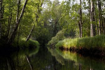 комфортно и красиво, надо бы венуться на это место и пожить здесь денек, рыбу половить...