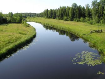 Оять, вид с моста в Курбе в ту сторону, куда мы не поплывем