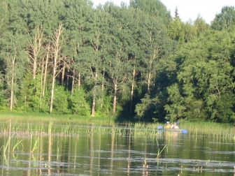 исследование Морщихи