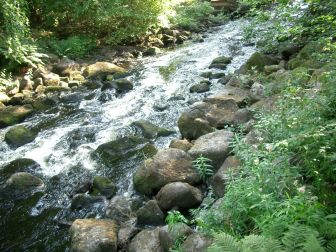 в этих местах воды ещё относительно много, но то ли будет дальше!