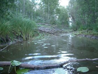 иногда воды становится больше