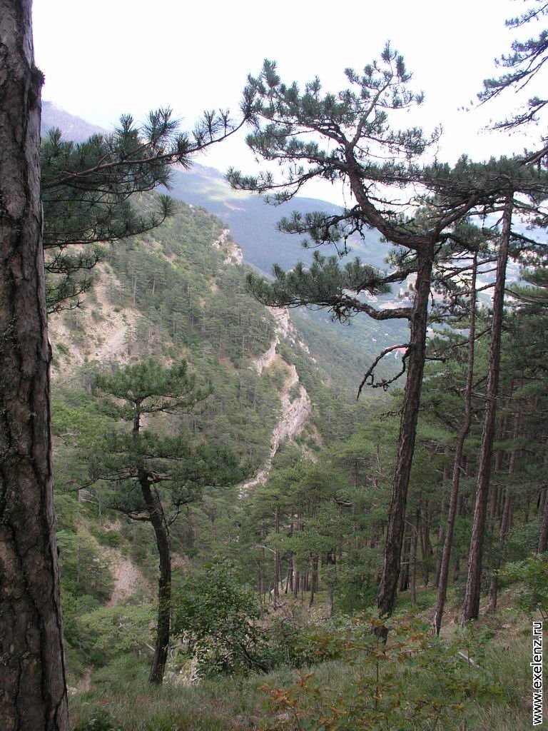 Таракташская тропа вершина